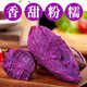 Jingdida Hainan Sandy Purple Sweet Potato Purple Sweet Potato Meal Replacement Net Weight 5Jin Jin is equal to 0.5kg (3-8 taels/piece) Straight from the source