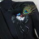 Library selection nightclub bar singer performance jewelry brooch feather corsage flash diamond retro competition exaggerated corsage badge for men picture color M15