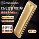Loch Sound 12 Loch Gesamtskala Blues Harmonica EZ12 Anfänger Tuning Blues harmonica Erwachsener Performance Grad A-Tuning Gold (kein Notwendigkeit, den Klang zu drücken, und mit Bass 46 ausgestattet)