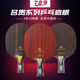 729 Friendship 729 table tennis racket gold label blade precious green sandalwood 7 professional grade built-in aromatic carbon sticky racket package for advanced use 729 green sandalwood pen-hold CS short handle single blade