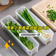 Home KATEI STORY Japanese imported coriander and shallot storage box refrigerator whole coriander root preservation artifact food grade noodles and egg preparation coriander and shallot special box 1.3L 2-piece set
