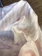 
Cut Yu Liuhong Bing Silk Short Sleeve Shorts Pajamas for Women in Summer 2025 New Cute Cartoon Bow Set Can Be Outdoor Home Clothing 13559 Lace Kitty 2XL