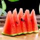 Dayu Lazy Man Watermelon Seed Seedlings Extra Large Suitable for Early Maturing Lazy Man in the South 8424 Kirin Melon Meidu Seedless Fruits and Vegetables Big Fruit Black Beauty Watermelon Seeds 20 capsules 2 bags of black skin