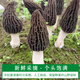 Chu Shi Yanxuan Fresh Morel Fresh Mushrooms Yunnan Specialty Mountain Delicita de estacionales Fresos frescos Fungus Caja de regalo Moreles de vegetales Fresh Morels 880 g (caja de regalo asequible)