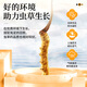 雷允上断草10g冬虫夏草干货 自用家庭实惠装老年人营养品父亲节礼物