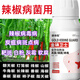 Gengfengwang pepper special agent, pepper disease medicine, gray mold early and late blight, wilt, downy mildew virus disease, pepper medicine 100ml (5 acres)