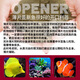 Fish Kirin United States imported marine brand seawater fish feed ornamental fish sea fish open fish fish food clown fish fish food vegetarian seafood thin slices 71g