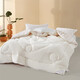 Mercury Home Textile Class A Corn Fiber Thickened Winter Quilt About 9.4 Jin [Jin equals 0.5 kg] 220*240cm Powder
