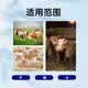 Appetizer for male animal husbandry, king pig, cattle and sheep, appetizer, digestion and growth promotion, pig fattening, weight gain, spleen appetizer, meat growth and stomach strengthening powder. Buy 5 and get 1 free. 6 bags.