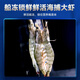 Hunyuan Beast Shrimp Domestic Qingdao Freshly Caught Prawn Extra Large Green Prawn Frozen Sea Shrimp Fresh Shrimp White Shrimp Qingdao Salt Frozen Prawn 3-4Jin Jin equal to 0.5kg (net weight) 15-18cm (recommended by the store manager)