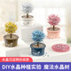 Science small experiment set planting magic tree elementary school student DIY handmade children's toys Crystal magic tree set-transparent
