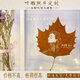 Wutong leaf carving and leaf carving photos high-end customization gifts for couples and friends to give gifts for best friends on Chinese Valentine's birthday. Wutong leaf + plastic seal + 6-inch photo frame with lights. Post a photo after placing an order (customer service)