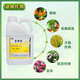 Chlormequat paclobutrazol special multi-effect strawberry farm store corn wheat pbo control agent growth regulator 1kg