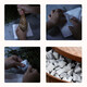 Zhangping Narcissus Tea Oolong Tea Box Orchid Fragrance Zhangping Narcissus Flavored Food Tea Cakes Special 500g Box Tea Drink Yourself