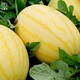 Dayu Yellow Heart Watermelon Seeds, Early Maturity, Yellow Skin, Red Flesh, Yellow Flesh, Special Xiaofeng Watermelon Seeds, Southern Fruit, Ansheng Huangmeiren, Yellow Skin Watermelon Seeds, 100 capsules