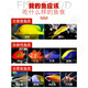 Fish Kirin United States imported marine brand seawater fish feed ornamental fish sea fish open fish fish food clown fish fish food vegetarian seafood thin slices 71g