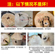 Xianyouji Hainan Wenchang Coconut Green Large Fruit Fresh Coconut Pregnant Women Coconut Picked Now Delivery Coconut Opener and Straw 4 pieces with coconut opener and straws (single fruit 900g+