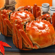 
[Gift coupon] Hufengyang Chenghu Hairy Crab Card Festival Gift Fresh Gift Box Collection Gift Card Type 698 (Male 3.0 liang, Female 2.5 liang, 4 pairs, 8 pieces)