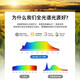 欧普（OPPLE）家居客厅吸顶风扇灯简约现代卧室智能电扇灯新款花型全光谱大 D款白色全光谱Ra9767*44cm无极