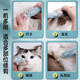Huayuan pet equipment (hoopet) pet foot shaver cat shaver paw sole trimming artifact razor dog hair clipper electric clipper