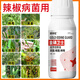 Gengfengwang pepper special agent, pepper disease medicine, gray mold early and late blight, wilt, downy mildew virus disease, pepper medicine 100ml (5 acres)