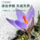 
Weishuihong Saffron Gift Box Imported in Iran [Women's Day Gift] Send Parents and Elders to See Parents and Elders for Flexible Saffron [Full Red Silk Pistils] Iranian Special Saffron (3 grams in bottle)