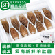 Chu Shi Yanxuan Fresh Morel Fresh Mushrooms Yunnan Specialty Mountain Delicita de estacionales Fresos frescos Fungus Caja de regalo Moreles de vegetales Fresh Morels 880 g (caja de regalo asequible)