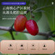 Taishoutang 200g of Cornus denus, Cornus officinalis, dried cornus, fruits, dried jujube skin, soaked in water and drink wolfberry tea Chinese herbal medicine