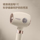 FLYCO Hair Dryer, Soft Air Negative Ion Constant Temperature Hair Care, Household Hot and Cold High Air Volume Fast Drying Hair Dryer, Smart Screen Display Gift for Girlfriend FH6369 Normal Pack