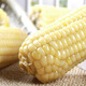 Tong Chuang Northeast White Waxy Corn on the Cob Fresh Sweet Waxy Corn on the Cob Meal Replacement Light Food Vacuum Packaging Sticky Corn Northeast White Waxy Corn Net Weight 250g*10 Cobs/Box