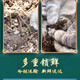 新鲜冬虫夏草2025年头期虫草正品领导高海拔送礼正宗鲜虫草过节 0.7-0.8克/根   10根鲜虫草 冬虫夏草  顺丰发货