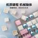 罗技（Logitech）K845有线机械键盘 青红茶轴电脑电竞游戏打字办公PBT客制键帽电竞游戏急停机械键盘 罗技K845-【黄白键帽】+罗技大桌垫 青轴-【打字办公选择】 x 否 x 104键 x