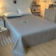 舒炫夏季单件纯色单双人1.5m冰丝丝滑裸睡被单学生宿舍 洛可可-白+银灰【床单为银灰】 160x220cm【单件床单】