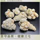 Beijing Tongrentang Sanqitou Yunnan Wenshan Sanqi 30-tie field 7-generation super fine Sanqi powder Sanqi head (whole) Sliding Sanqi 30-tie without cuts Panax notogins 500g