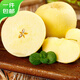 Jingxiansheng Shandong Golden Venus Apple Net weight 3Jin Jin is equal to 0.5kg Single fruit 160g+ Fresh in season Straight from the source