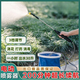 Portable sprayer for spraying pesticides, fully automatic electric retractable spray gun for watering flowers, rechargeable disinfection, new sprayer, 2800mA gravity filter + 10m water pipe
