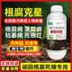 Root rot killer root rot disease special medicine fruit tree vegetable root rot retting root blight withered root rot Lingkang crack root rot killer 1000g * 1 bottle