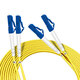 Chen Feiyang Telecom Grad Faser-Optik-Jumper SC/FC/ST/LC Single-Mode-Single-Mode-Doppel-Kern-Halogenfaser-Faser-Optik-LC-LC (Single-Mode-Doppel-Core) 50 Meter