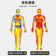 Pépel Sweat Silver Ion Exercice Fitness Burning Belly Fat Façonne la taille Façon de façonnage des hommes et des femmes Squat de tirage dur en marche