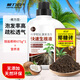 根力豆通用型椰糠砖椰壳砖椰砖营养土通用型养土养花土壤种植土脱盐批发 脱盐椰糠砖675G+生根液