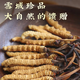 
Kangyuan Tibetan grassland Cordyceps sinensis high-altitude dry goods Cordyceps health supplements gift gifts for parents, elders and colleagues high-end gift boxes 4 pieces per gram 20 pieces of crystal tube gift boxes