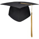 Adult top hat High school 18-year-old bachelor's hat Master's degree supervisor Doctor's hat Customized school badge printed tassel Doctor's hat (cardboard) All size can be adjusted