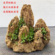 Fine small water stone bonsai rockery absorbent stone micro landscape decoration strange stone ornaments natural original stone about 17-22cm plus plate plus grass seeds with stones