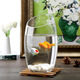 Tongrubi Bureau petit aquarium épaissis épaissis de chair de tortue en verre transparent salon maison de bureau rond mini petit cuve à poisson d'inclinaison 9715