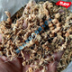 Mein Yutang Miaojia Guluzi Medicine Guizhou Perl Panax Notoginseng Chinesische medizinische Materialien Abacus Neun-Samen-Kettengras-Waschwäsche 500 g 500 g