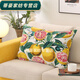 Rongtao 2023 new sofa pillow cover rectangular core-free cushion canvas pillow long backrest living room backrest staggered space fine canvas 60X80 core-free