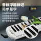 Swan (SWAN) F06 oral organ 37 keys professional performance grade primary school students special children adult junior high school students oral organ