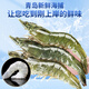 Hunyuan Beast Shrimp Domestic Qingdao Freshly Caught Prawn Extra Large Green Prawn Frozen Sea Shrimp Fresh Shrimp White Shrimp Qingdao Salt Frozen Prawn 3-4Jin Jin equal to 0.5kg (net weight) 15-18cm (recommended by the store manager)