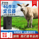 Tracker Cattle and Sheep Locator Beidou Satellite Waterproof Grazing Sheep and Cattle Solar Powered Ultra-Long Life Anti-Theft and Anti-Freeze Battery 15,000 mAh + Accurate Positioning First Year