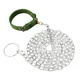 Rabbit dog chain traction rope anti-biting iron chain large dog collar dog walking rope small Corkin German shepherd dog chain thick 2.5 mm (recommended 18 Jin Jin equal to within 0.5 kg) 1 meter long